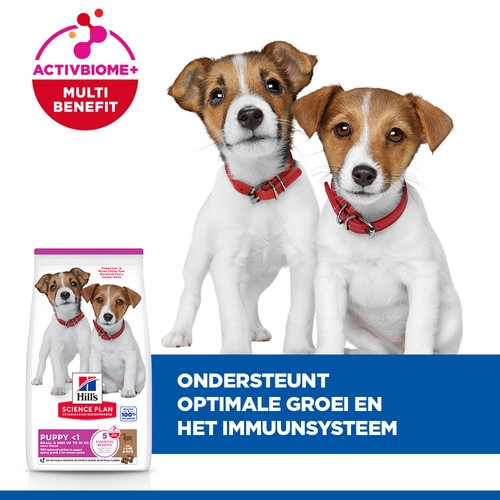 Hill's Puppy Small & Mini met lam & rijst hondenvoer