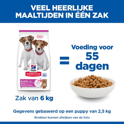 Hill's Puppy Small & Mini met lam & rijst hondenvoer