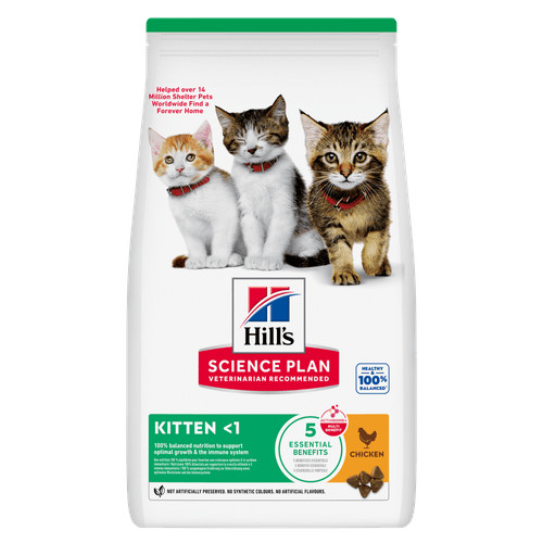 Hill's Kitten Healthy Development Huhn Katzenfutter