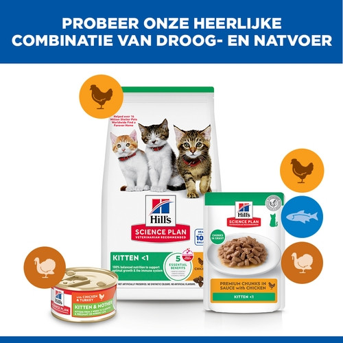 Hill's Kitten Healthy Development Huhn Katzenfutter
