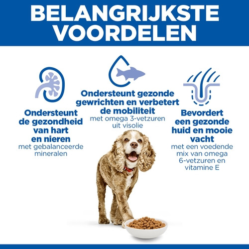 Hill's Senior 11+  Small & Miniature Kip hondenvoer
