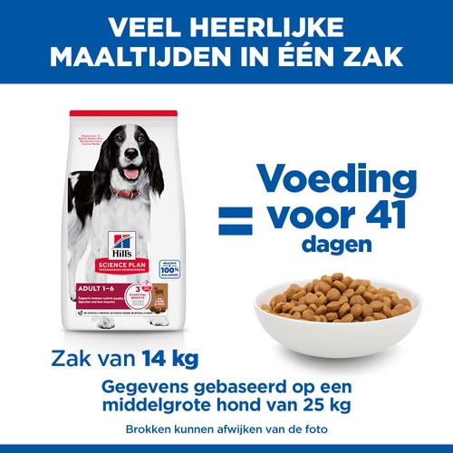 Hill's Adult Advanced Fitness Lamm & Reis Hundefutter 