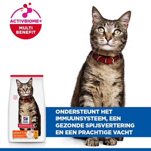 Hill's Adult met kip kattenvoer