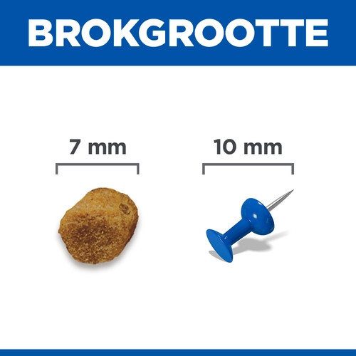 Hill's Adult met lam kattenvoer