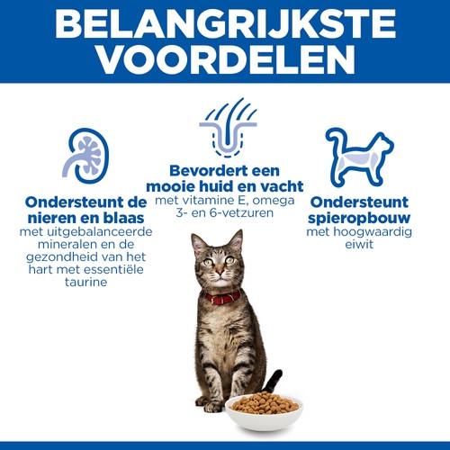 Hill's Adult met lam kattenvoer