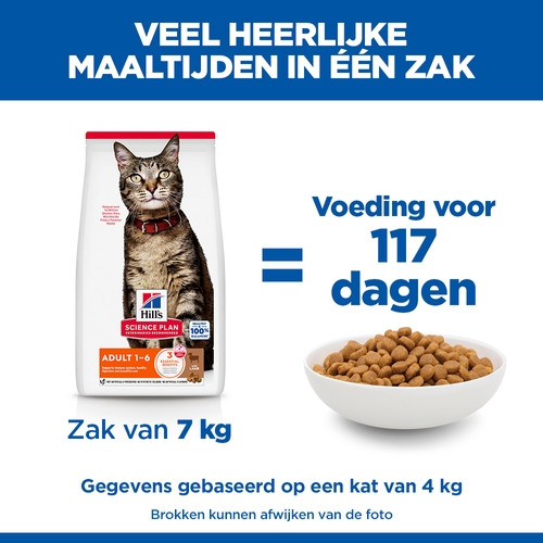 Hill's Adult met lam kattenvoer