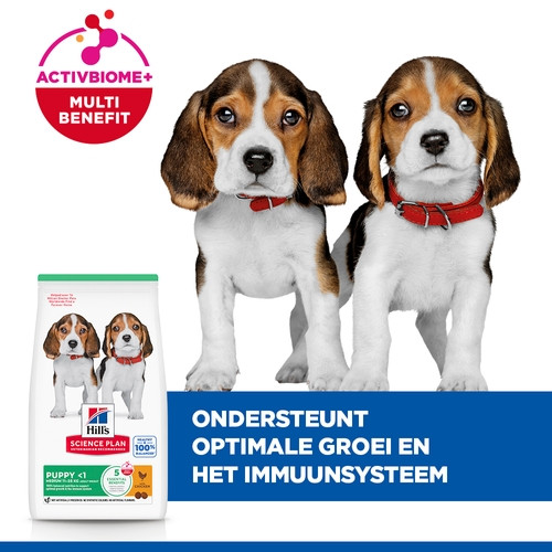 Hill's Puppy Medium met kip hondenvoer
