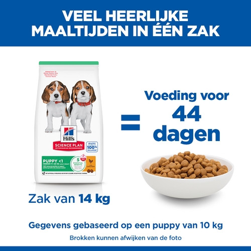 Hill's Puppy Medium met kip hondenvoer