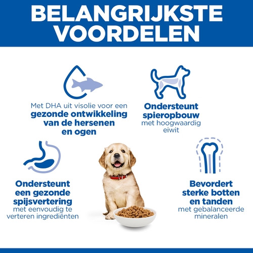 Hill's Puppy Healthy Development Large Breed Huhn Hundefutter 