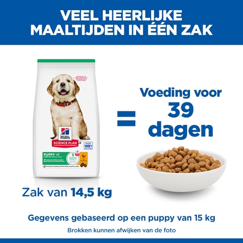 Hill's Puppy Healthy Development Large Breed Huhn Hundefutter 