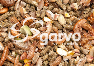 Garvo Alfagrow Pride 2080 kuikenvoer