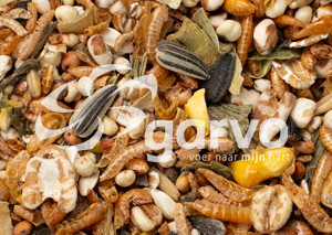 Garvo Pride Treats 2070 kippensnoep