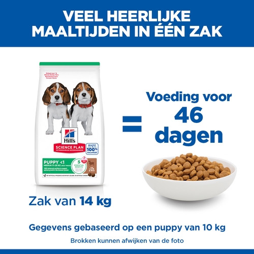 Hill's Puppy Healthy Development Lamm & Reis Hundefutter 