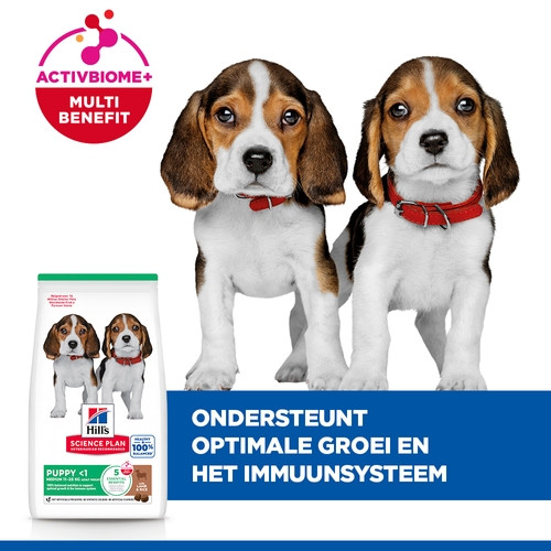 Hill's Puppy Healthy Development Lamm & Reis Hundefutter 