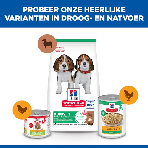 Hill's Puppy Healthy Development Lamm & Reis Hundefutter 