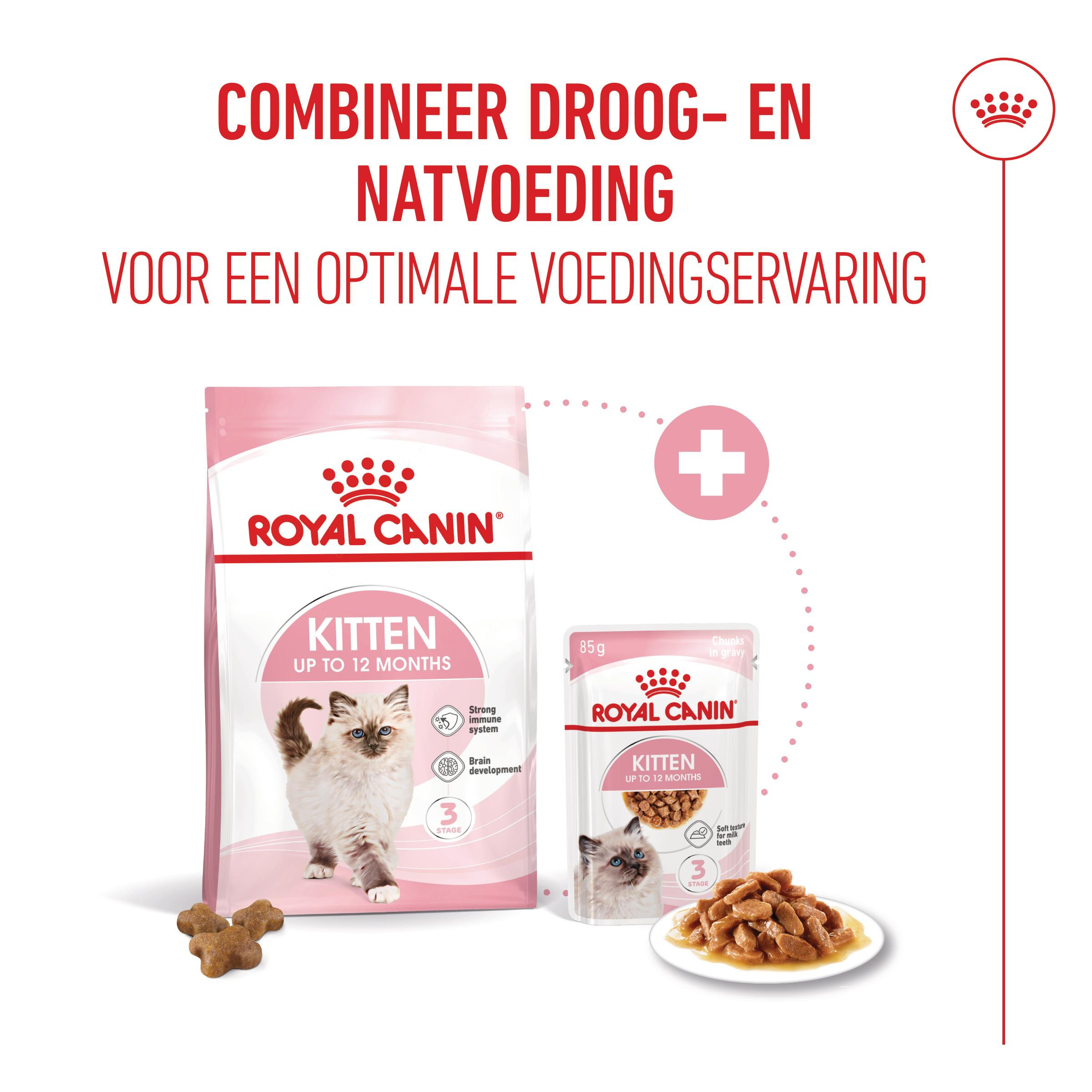 Royal Canin Kitten natvoer kat (in saus)