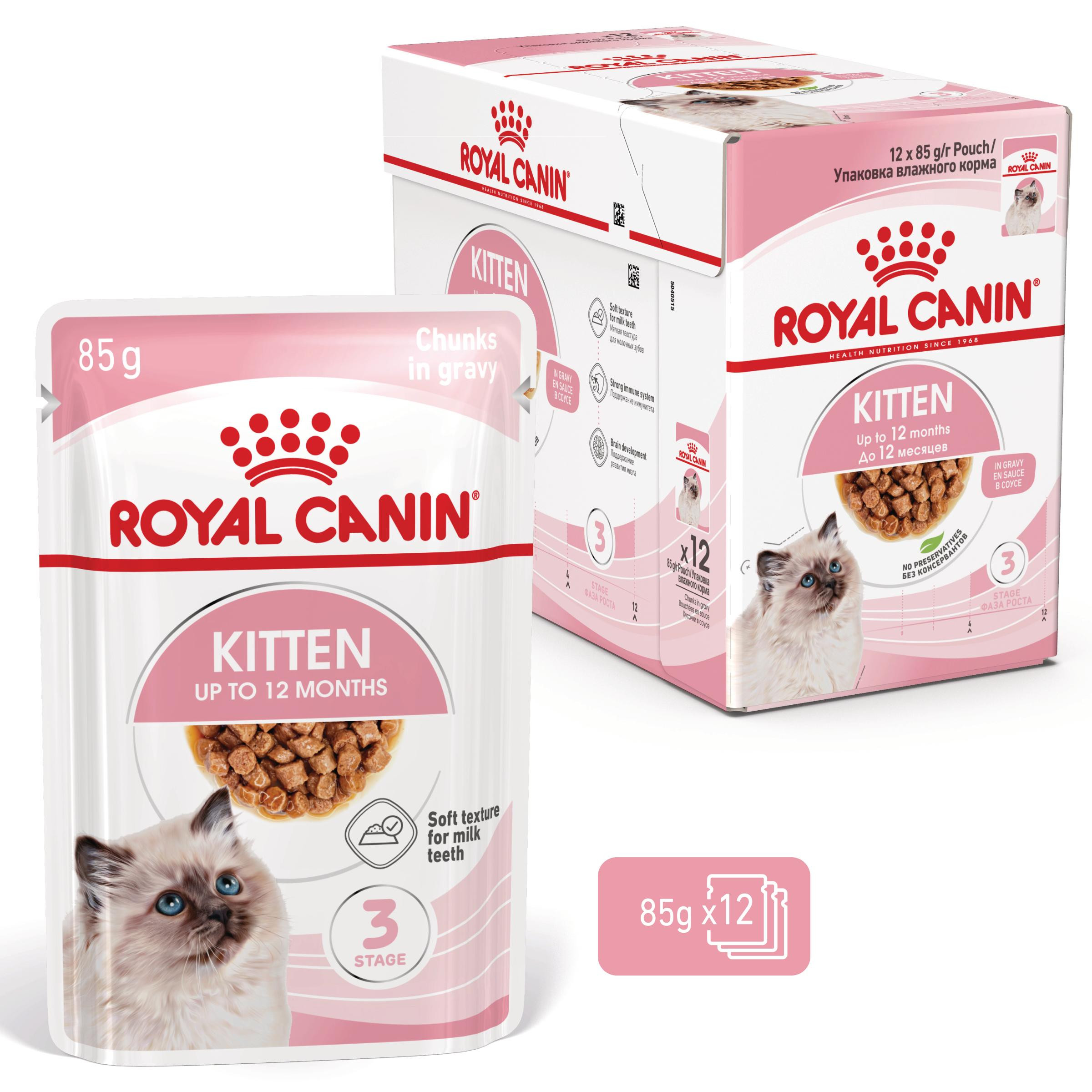 Royal Canin Kitten natvoer kat (in saus)