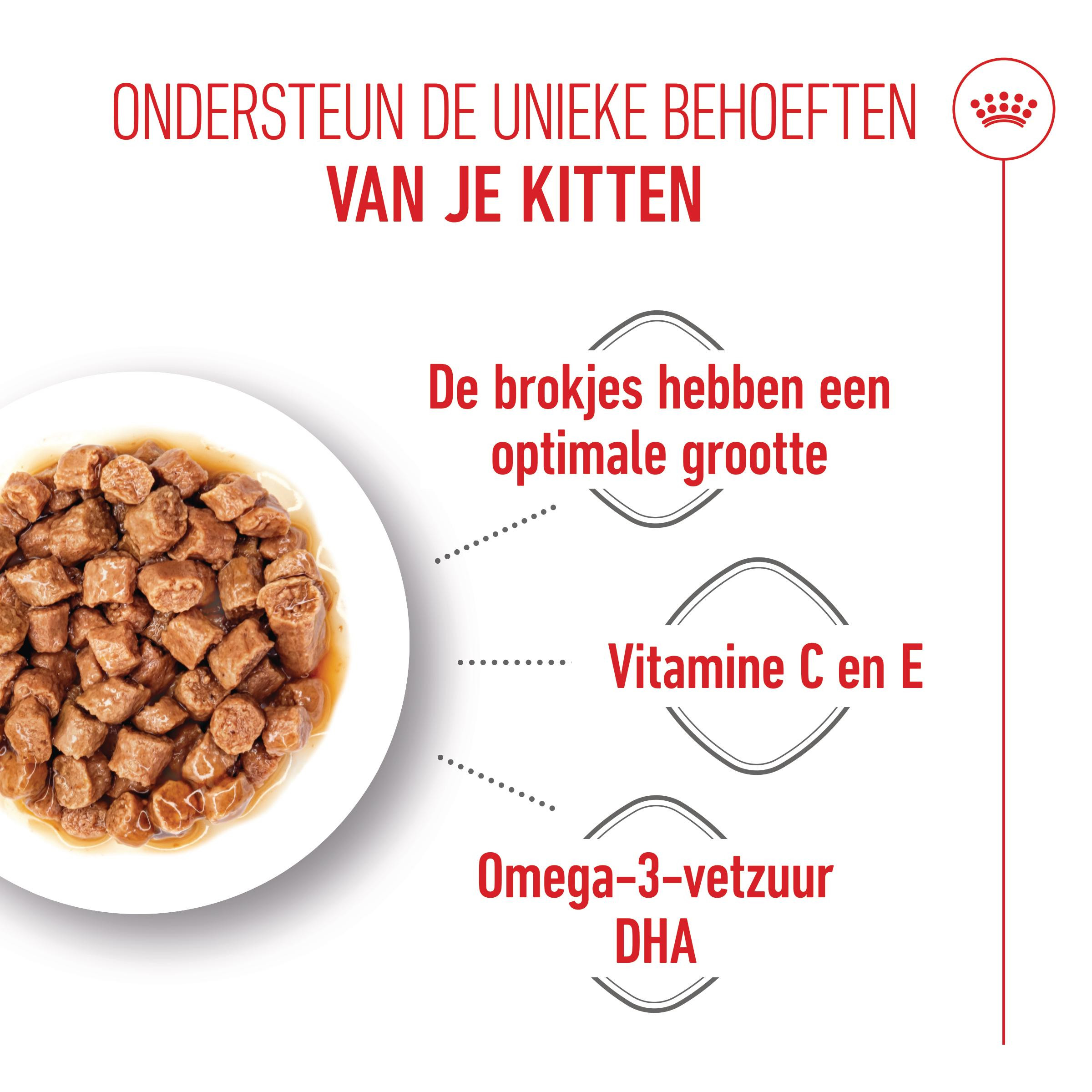 Royal Canin Kitten natvoer kat (in saus)