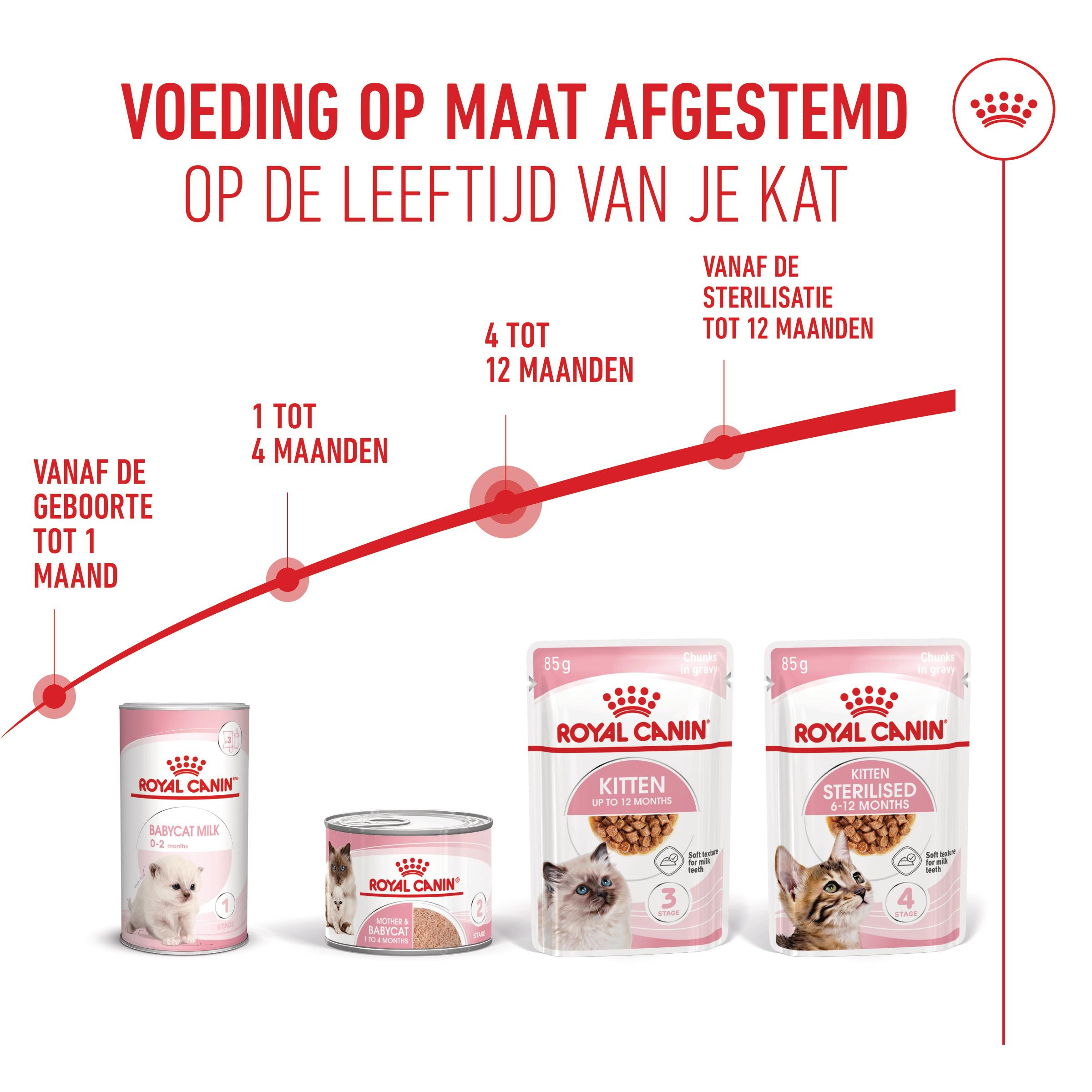 Royal Canin Kitten natvoer kat (in saus)