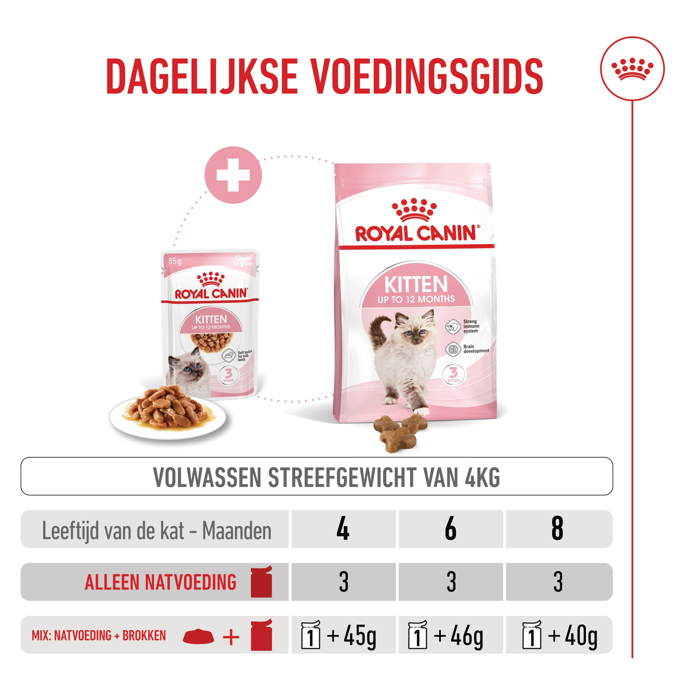 Royal Canin Kitten natvoer kat (in saus)