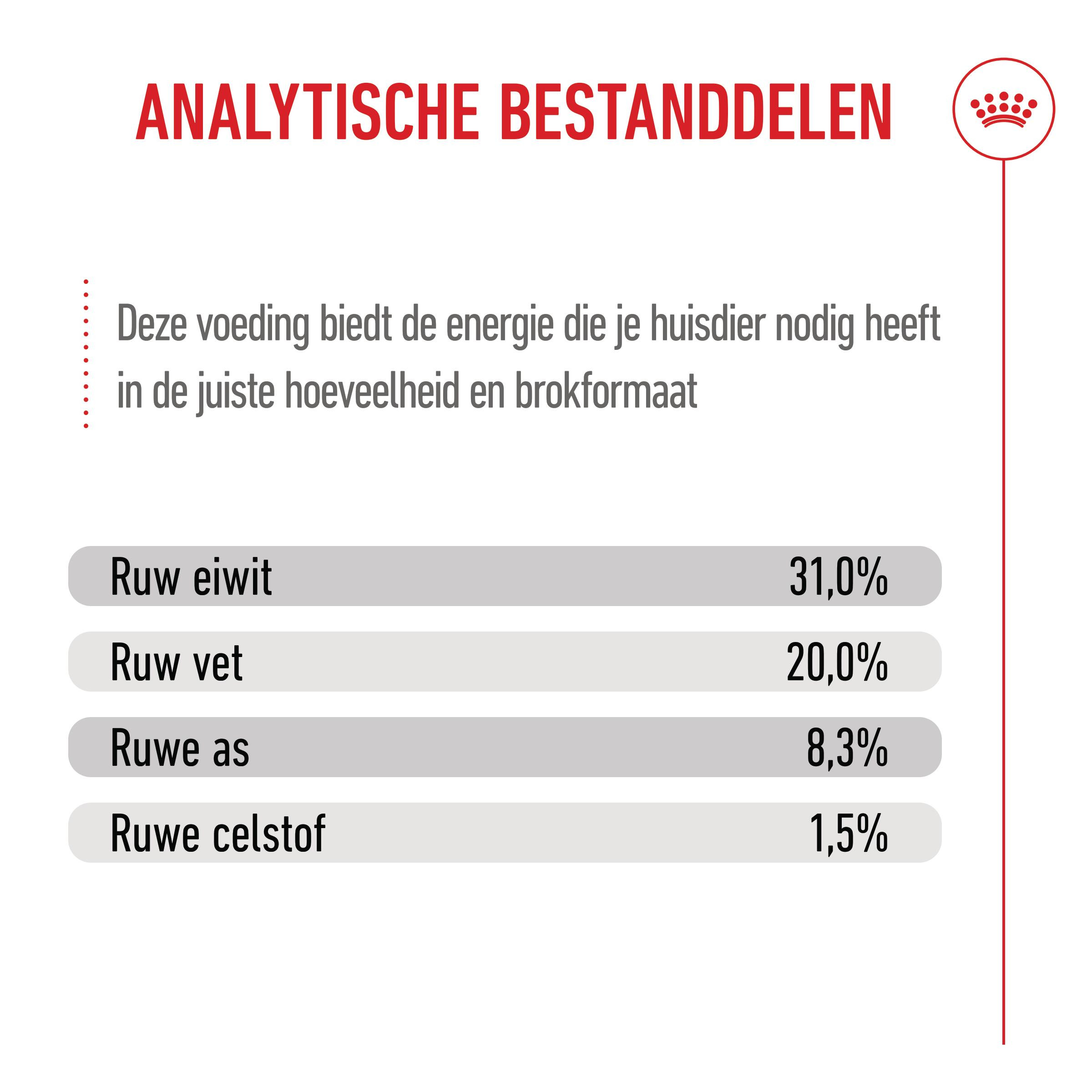 Royal Canin Mini X-Small Junior voor de hond