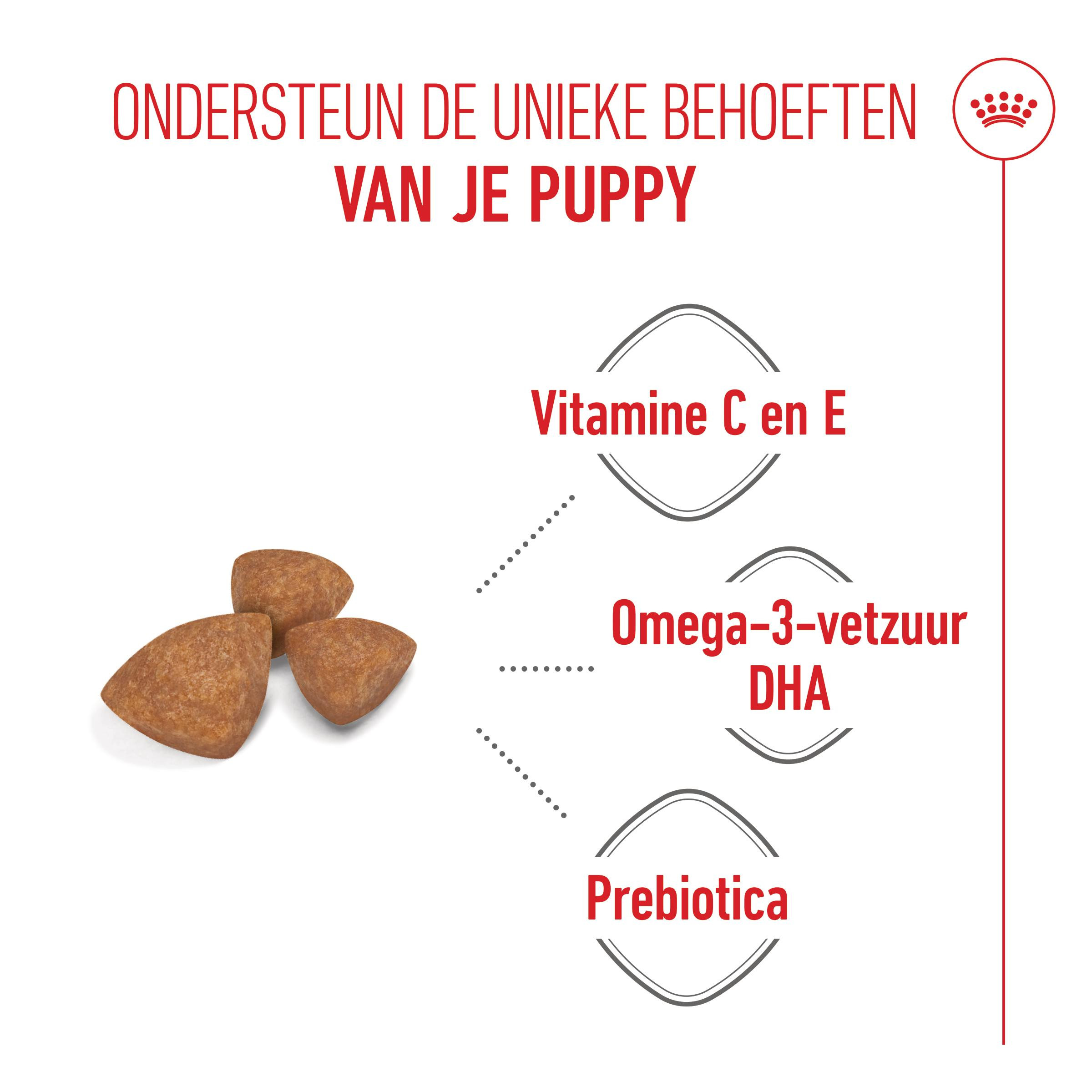 Royal Canin Mini X-Small Junior voor de hond