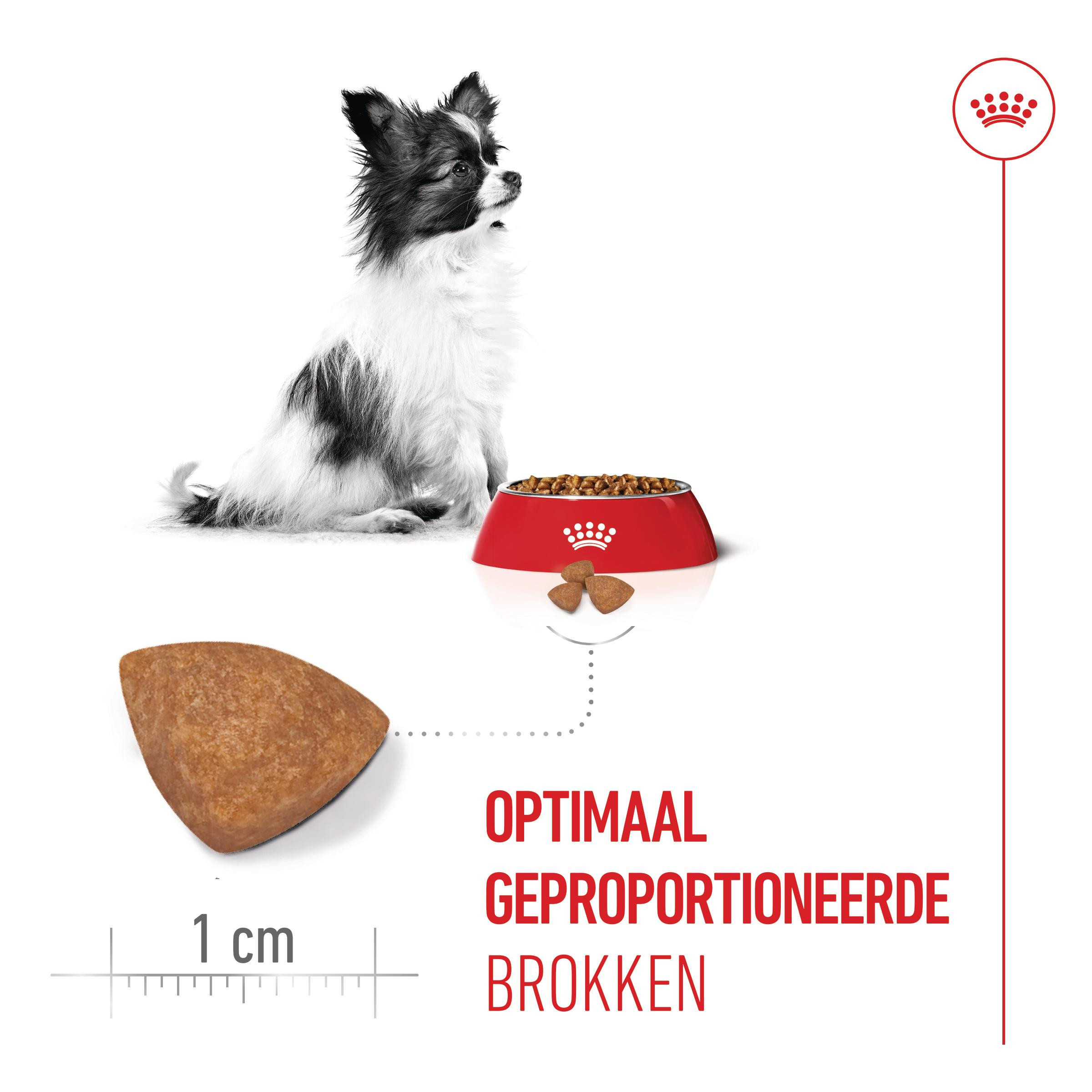Royal Canin Mini X-Small Junior voor de hond