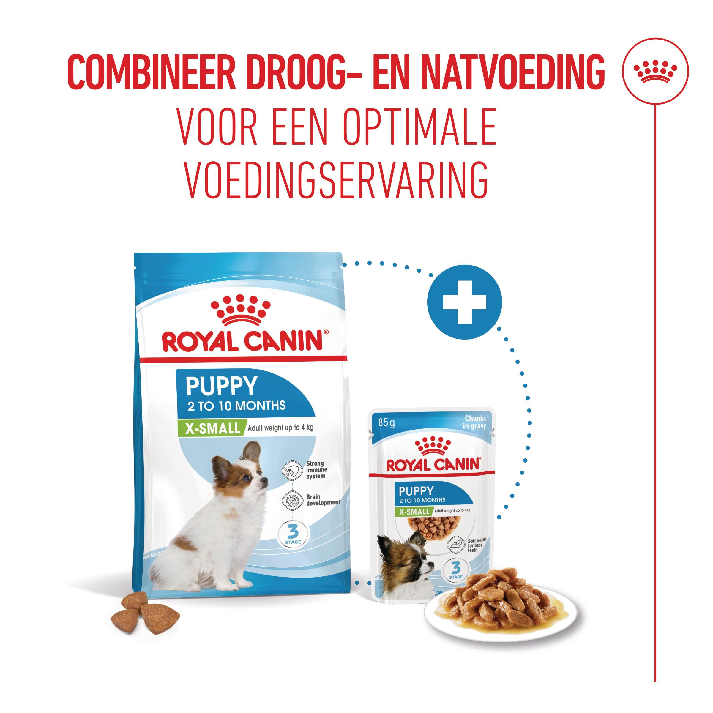 Royal Canin Mini X-Small Junior voor de hond
