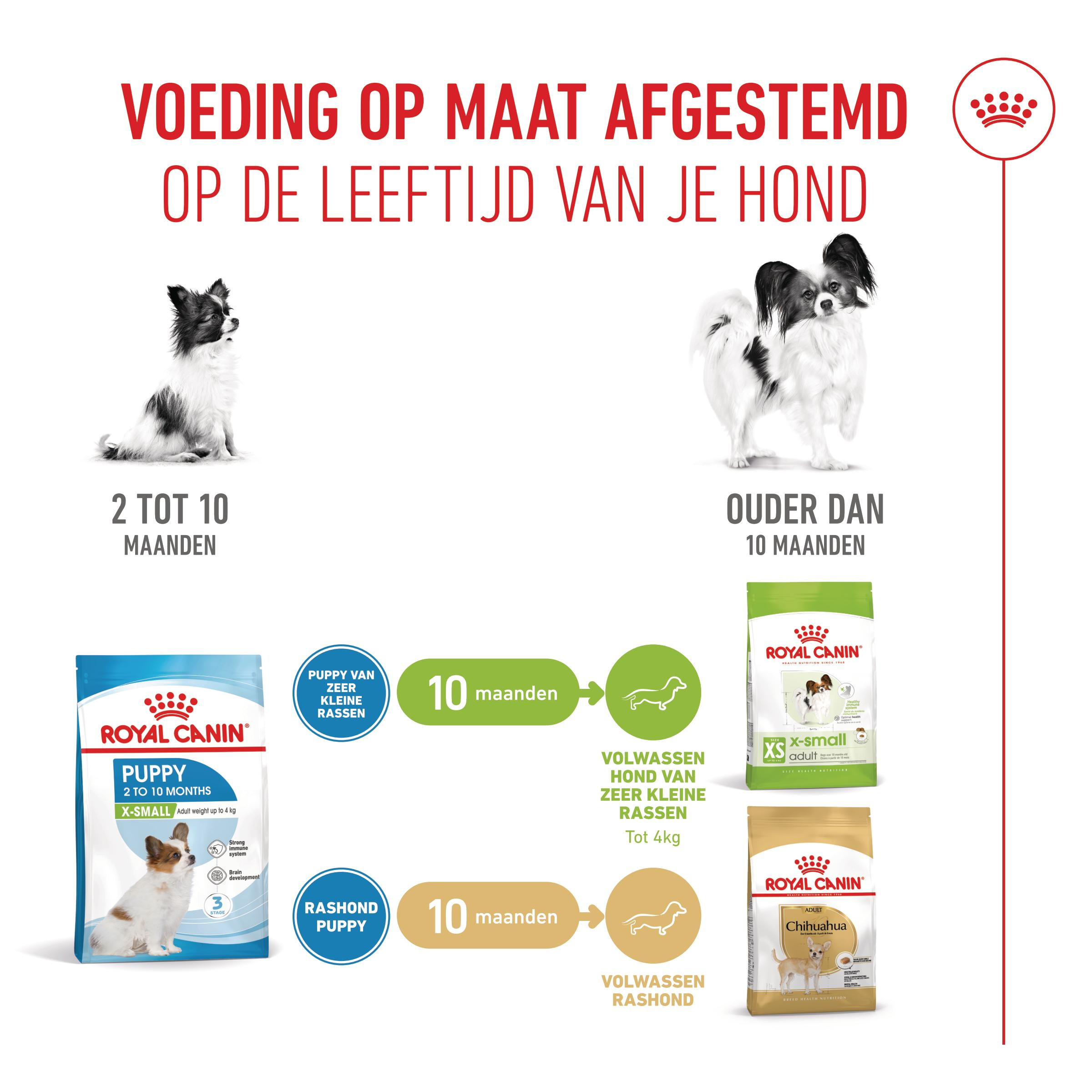 Royal Canin Mini X-Small Junior voor de hond
