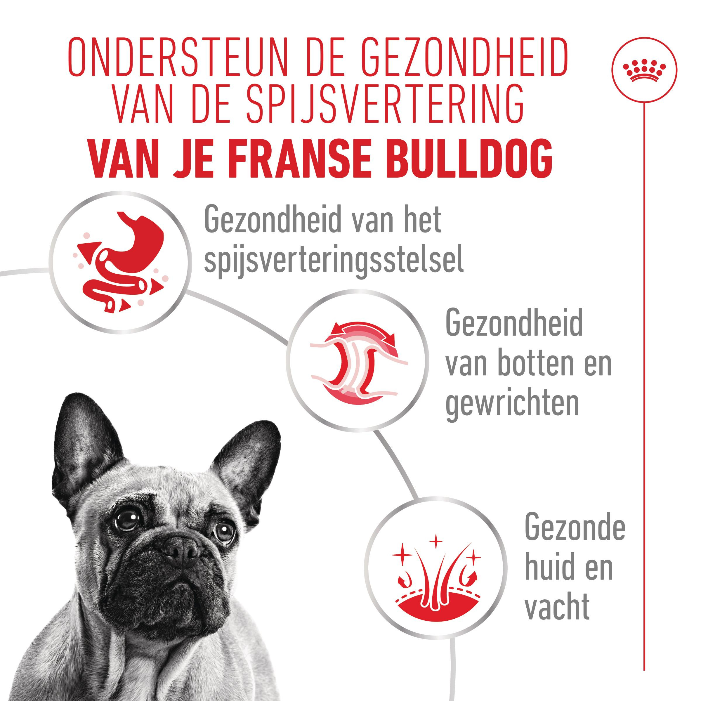 Royal Canin Adult French Bulldog natvoer hond (paté)