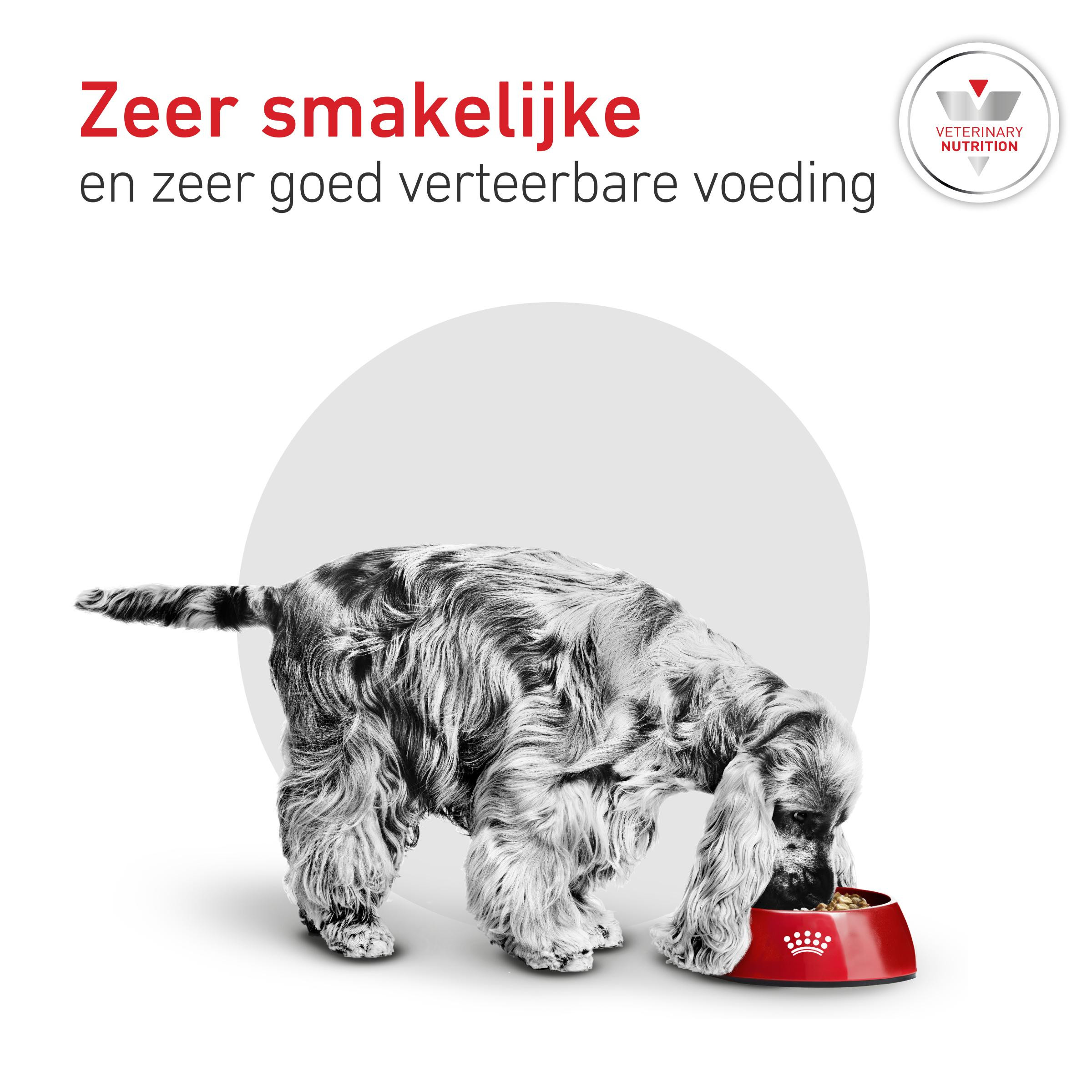 Royal Canin Veterinary Glycobalance Small Dogs hondenvoer