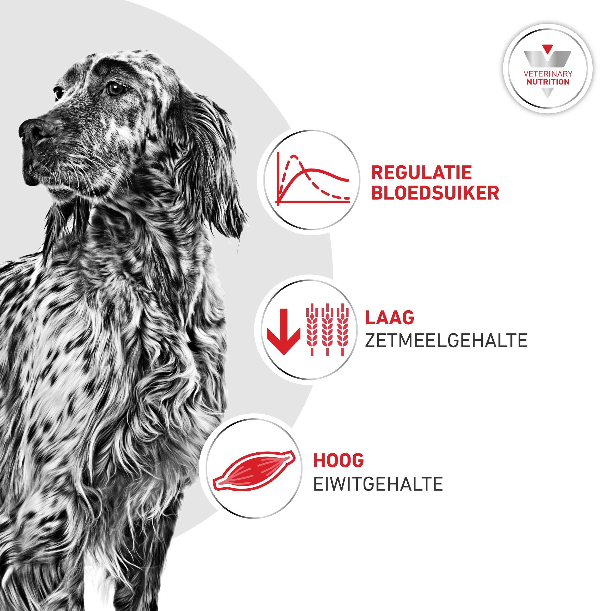 Royal Canin Veterinary Glycobalance hondenvoer
