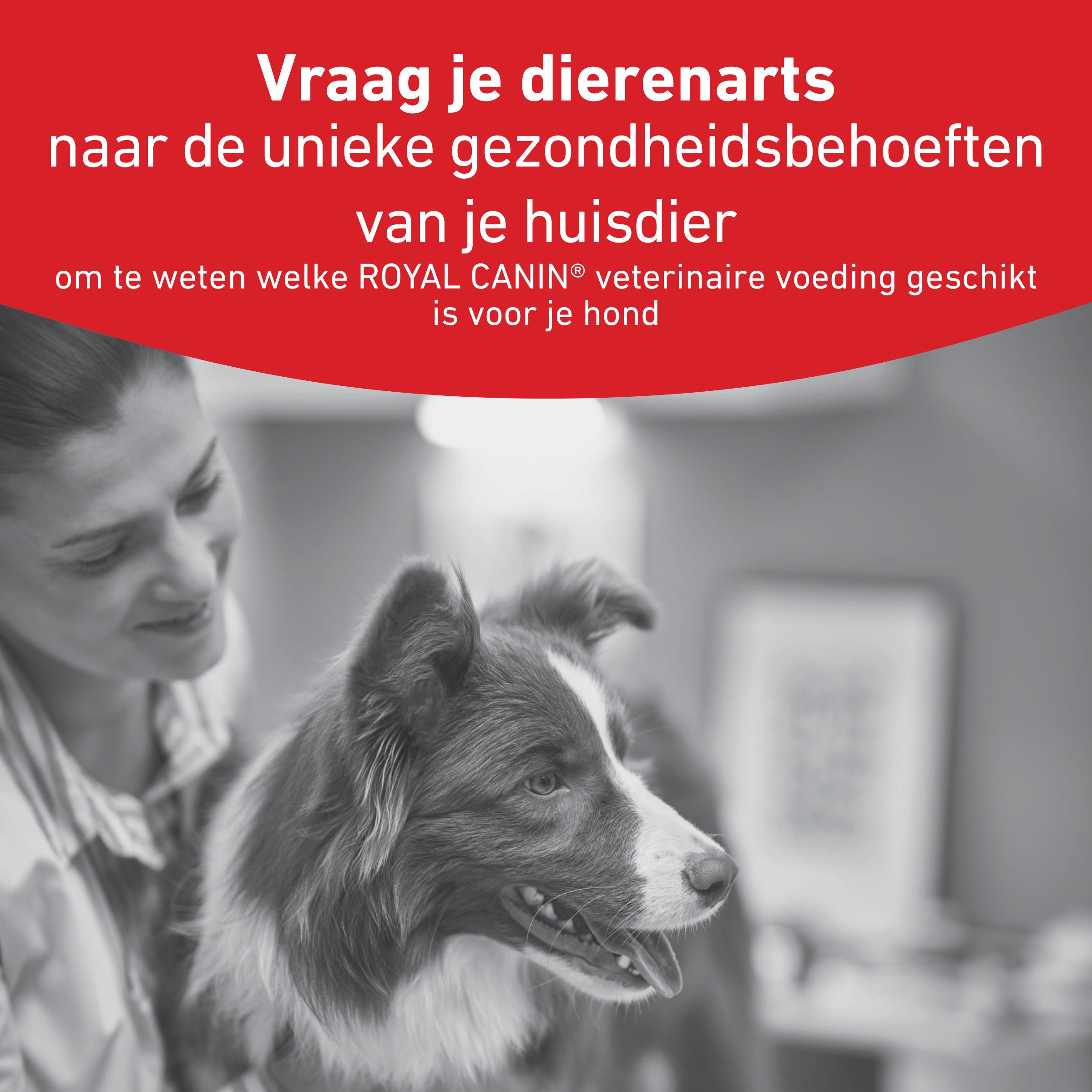 Royal Canin Veterinary Glycobalance natvoer hond (paté)