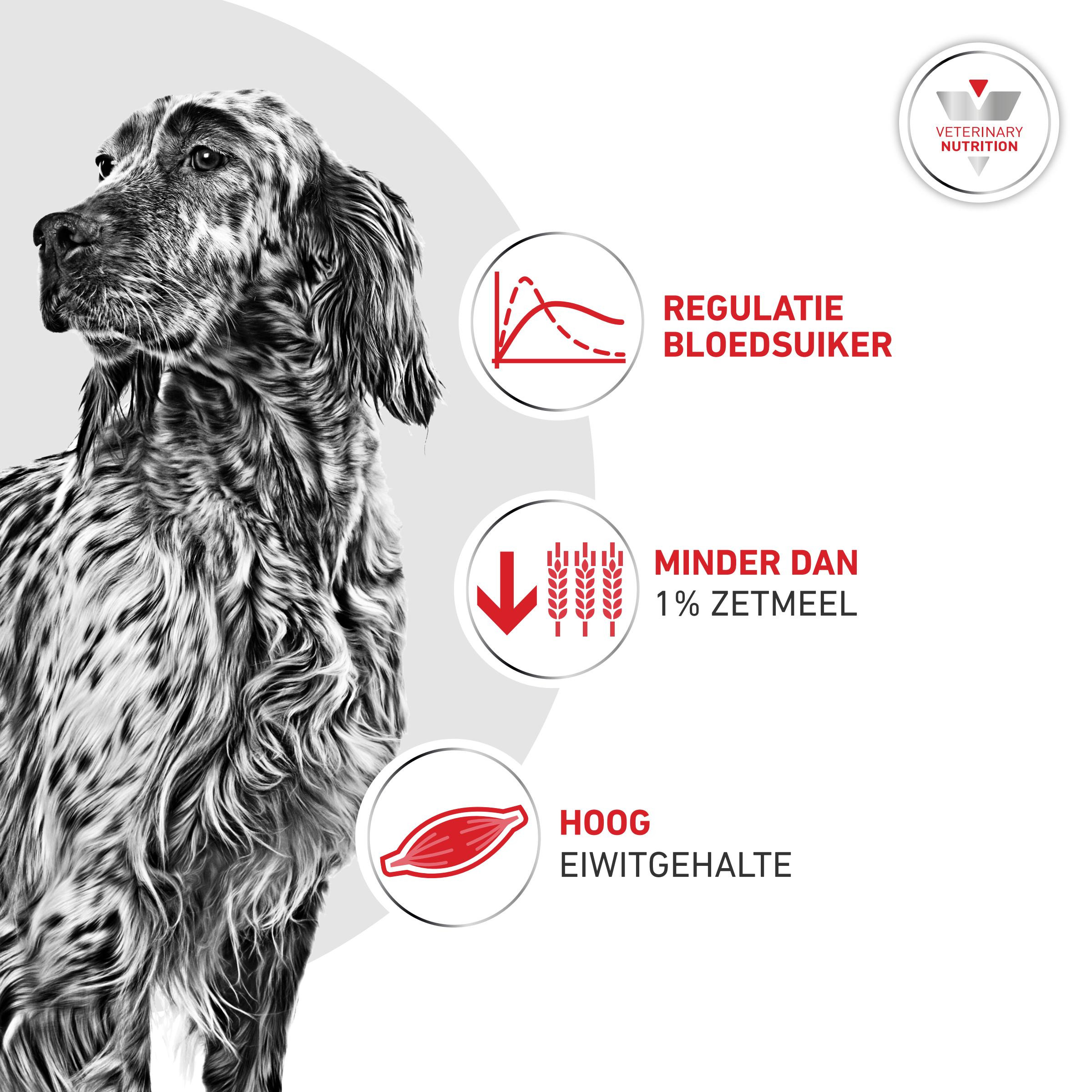 Royal Canin Veterinary Glycobalance natvoer hond (paté)