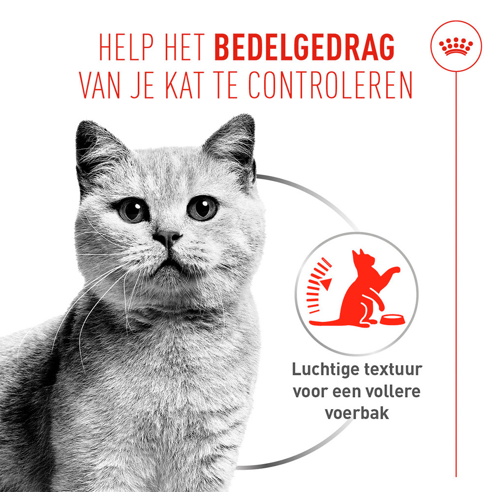 Royal Canin Appetite Control Airlift natvoer kat (mousse)