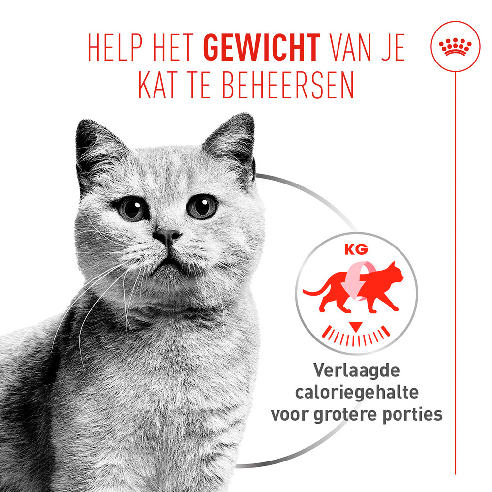 Royal Canin Light Weight Care Airlift natvoer kat (mousse)