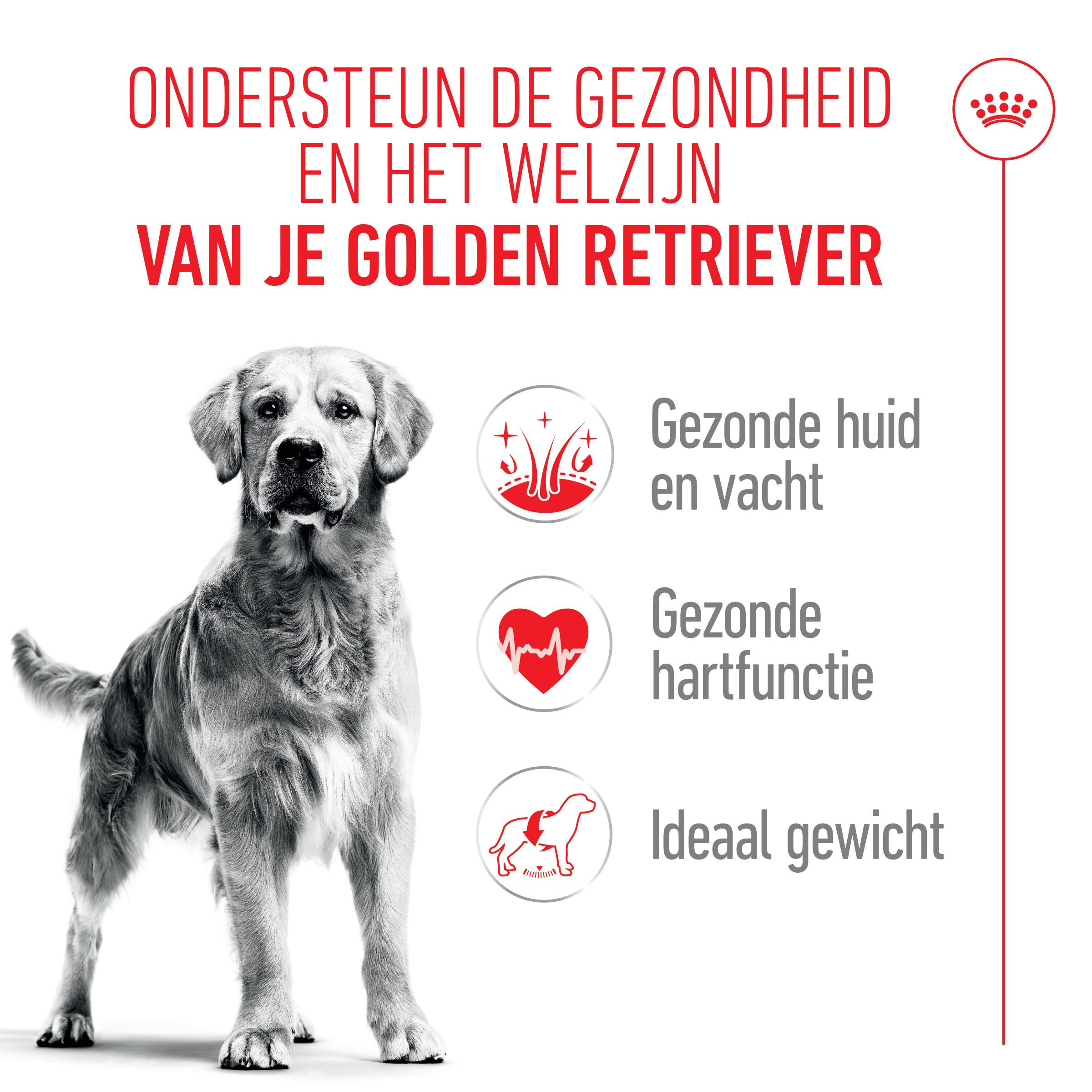 Royal Canin Adult Golden Retriever hondenvoer