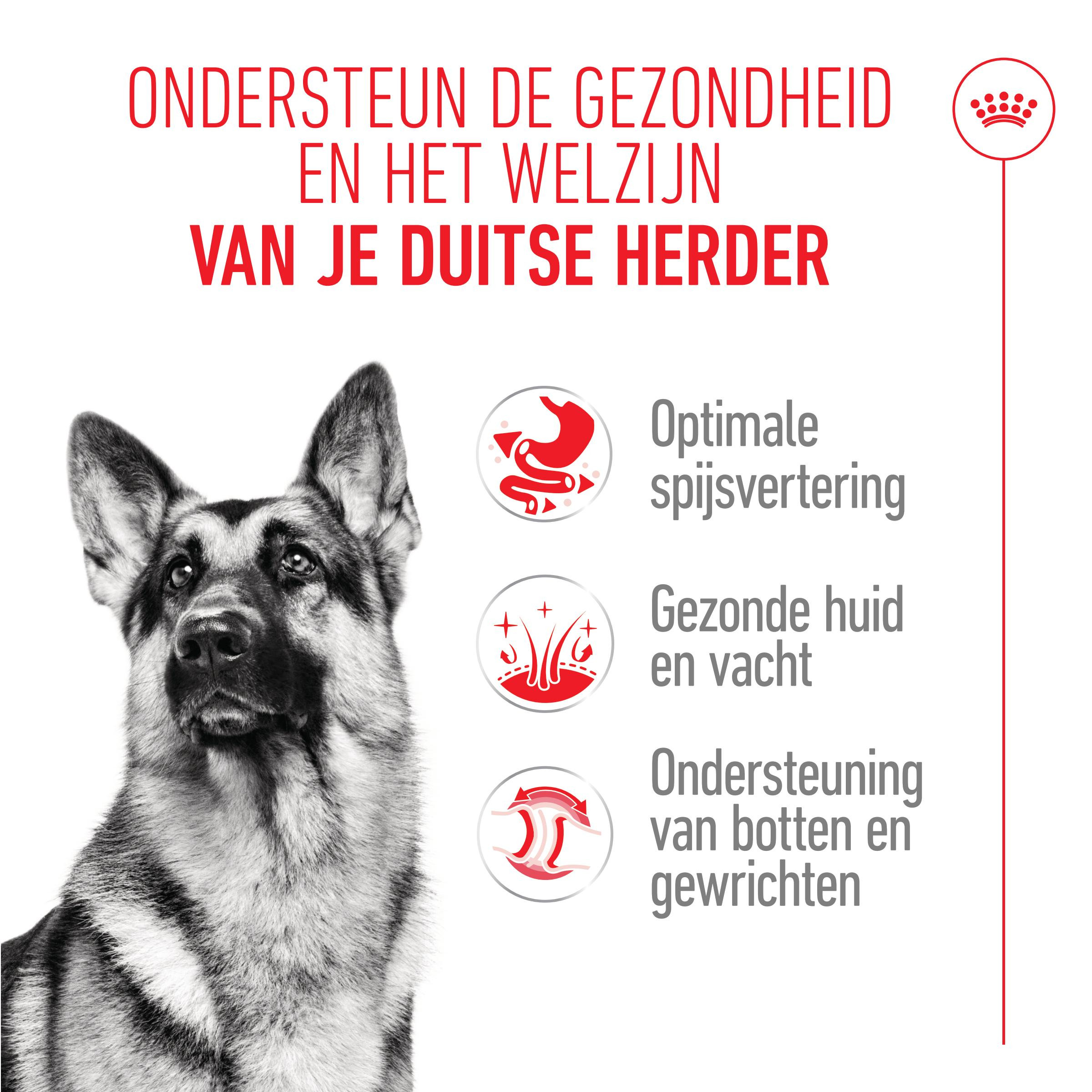 Royal Canin Adult German Shepherd hondenvoer
