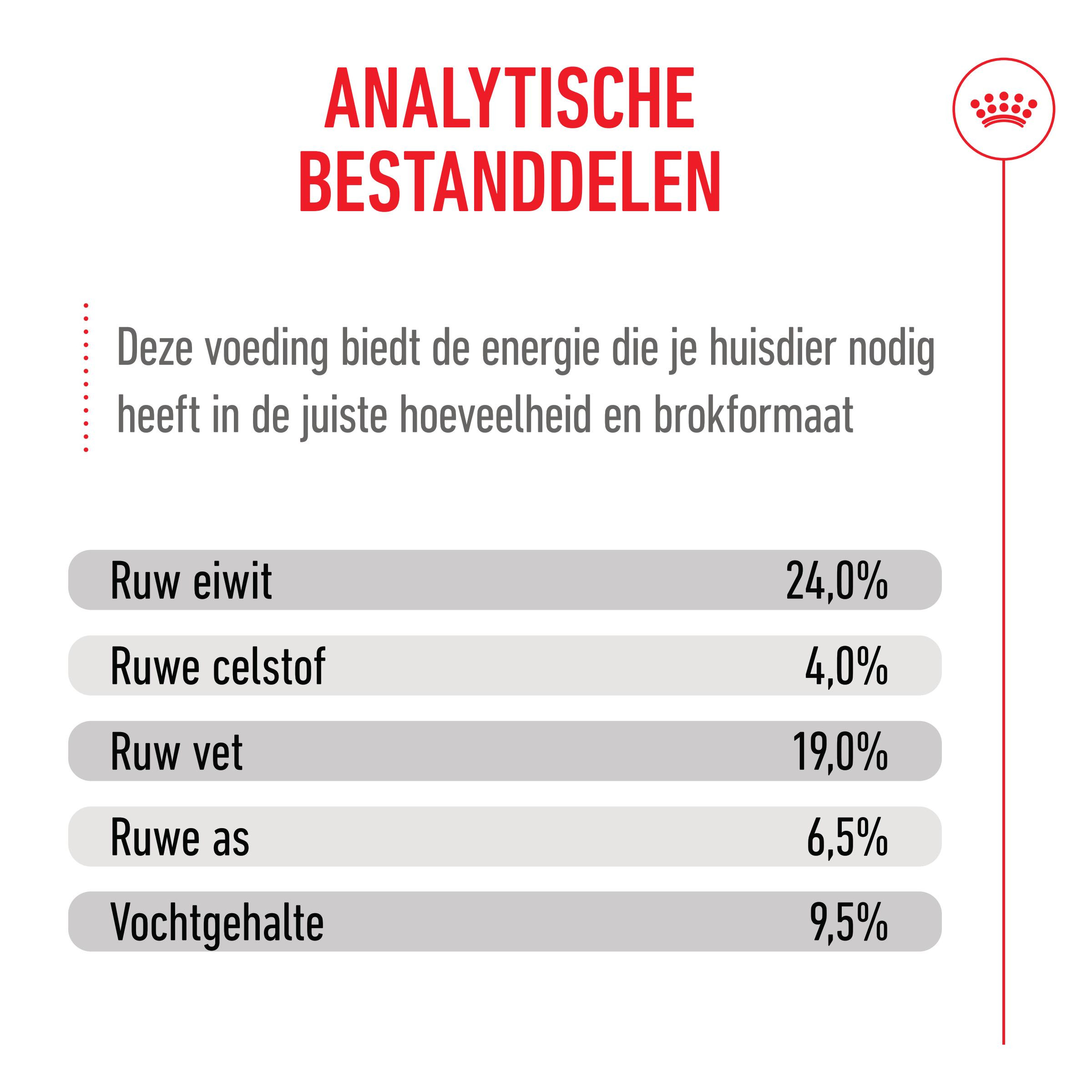 Royal Canin Adult German Shepherd hondenvoer