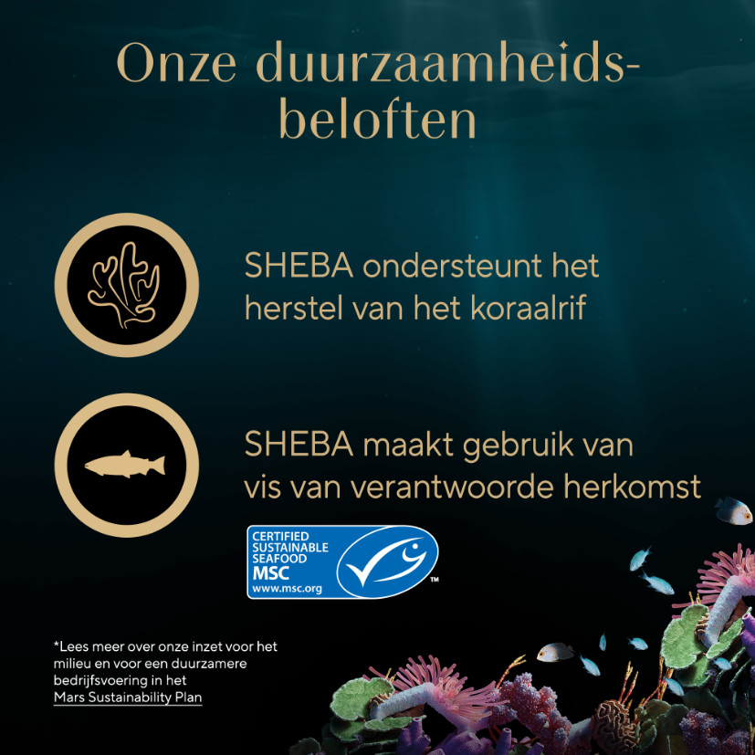 Sheba Filets Selection witvis, kip-tonijn, gevogelte-zalm natvoer kat multipack (kuipjes 60 g)