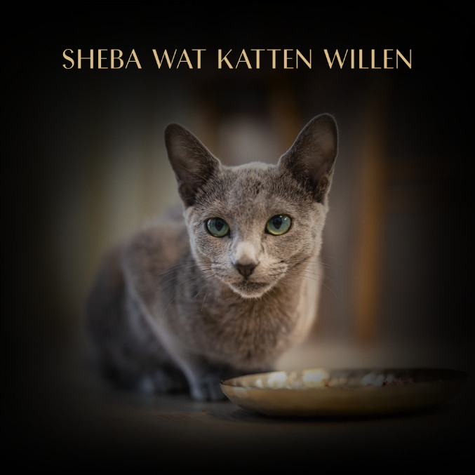 Sheba Filets Selection witvis, kip-tonijn, gevogelte-zalm natvoer kat multipack (kuipjes 60 g)