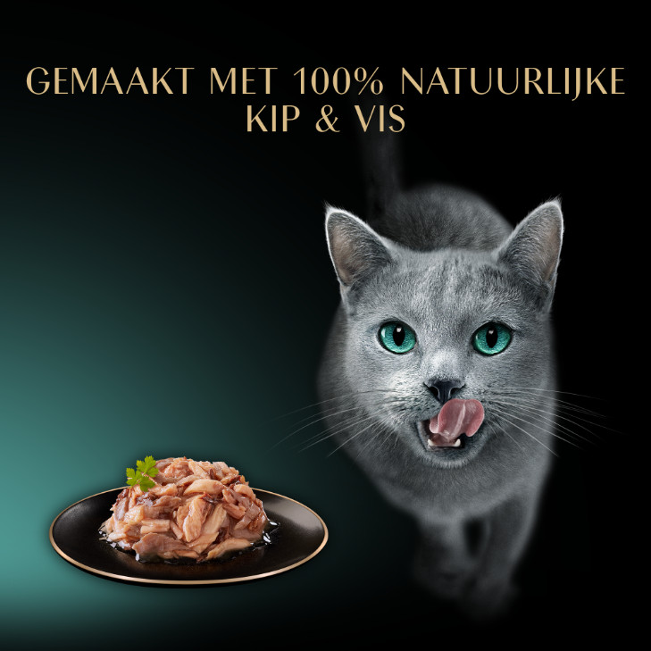 Sheba Filets Selection kip, oceaanvis-garnaal, zalm-tonijn natvoer kat multipack (kuipjes 60 g)
