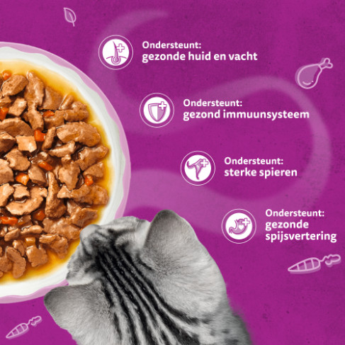 Whiskas 1+ Aromatic Heerlijke Combinaties in saus natvoer kat multipack (zakjes 85 g)