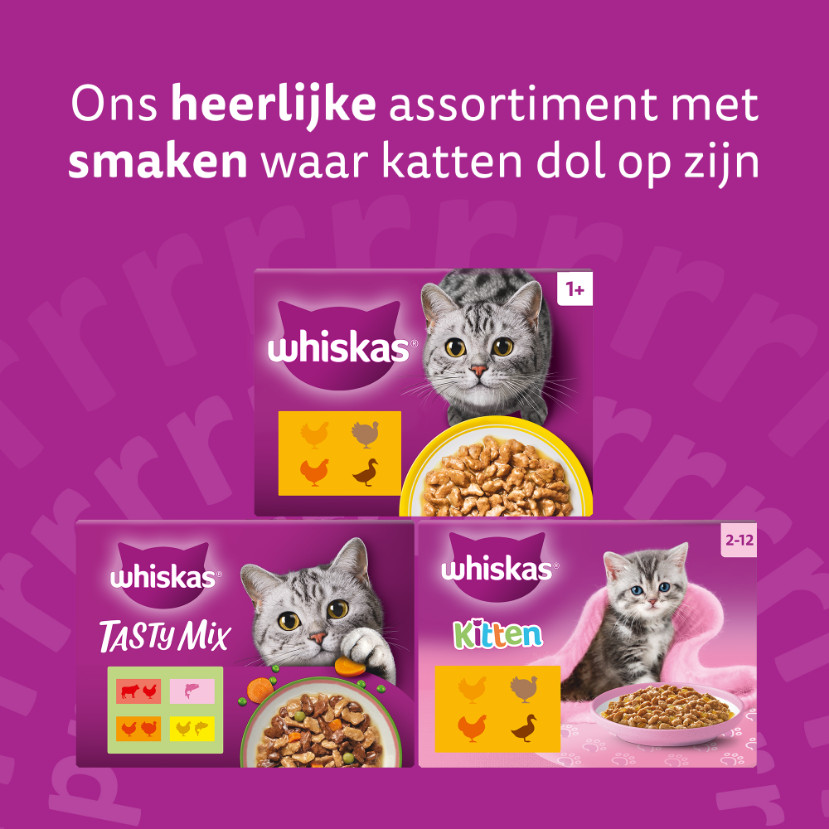 Whiskas 1+ Aromatic Heerlijke Combinaties in saus natvoer kat multipack (zakjes 85 g)