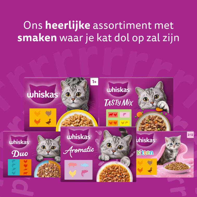 Whiskas 1+ Duo Surf & Turf in gelei maaltijdzakjes multipack
