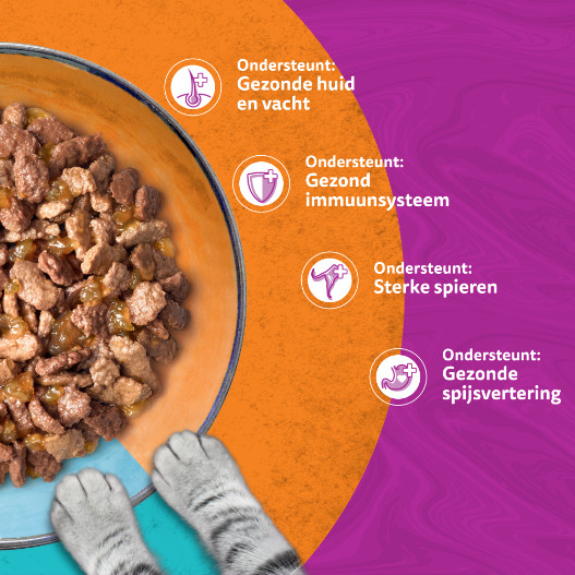 Whiskas 1+ Duo Surf & Turf in gelei maaltijdzakjes multipack
