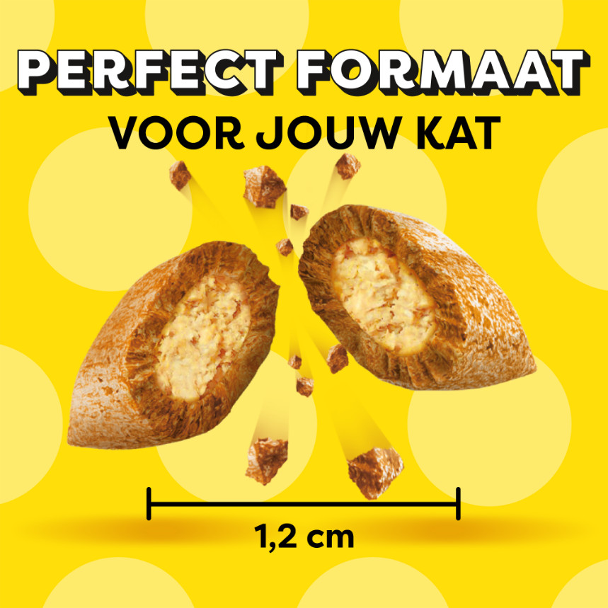 Catisfactions met rund kattensnack