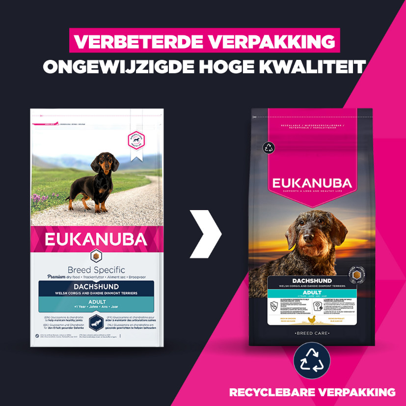 Eukanuba Dachshund adult hondenvoer