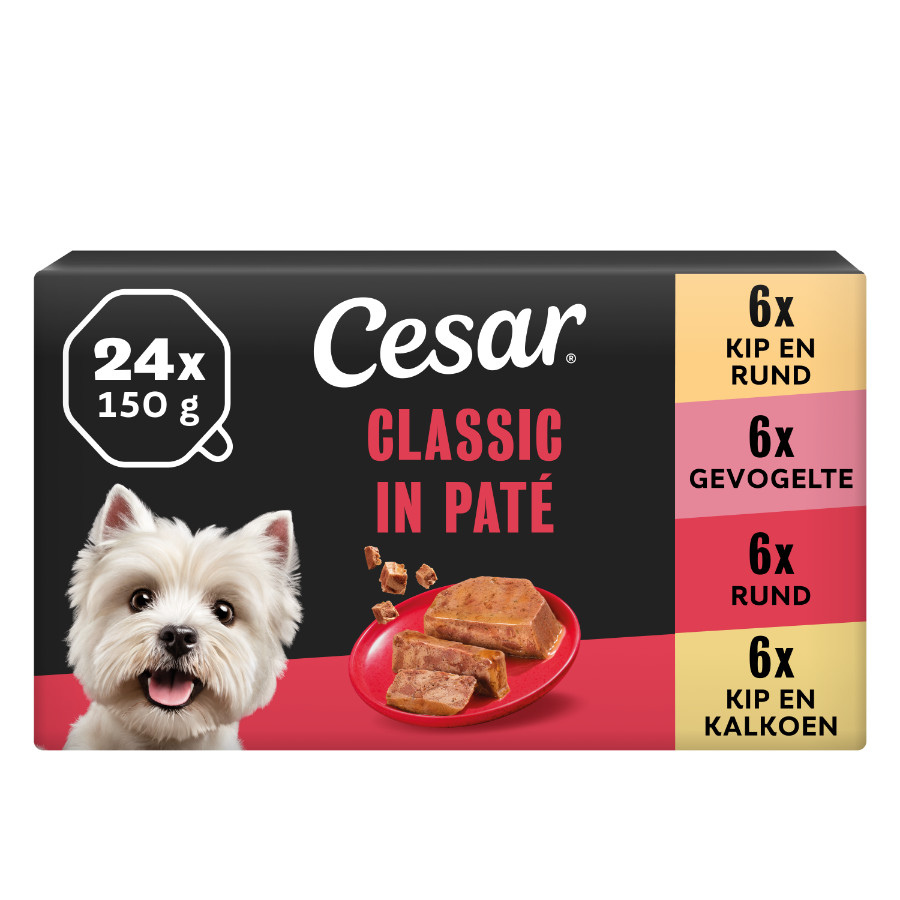 Cesar Classic Mix Paté multipack natvoer hond maaltijdkuipjes 150gr