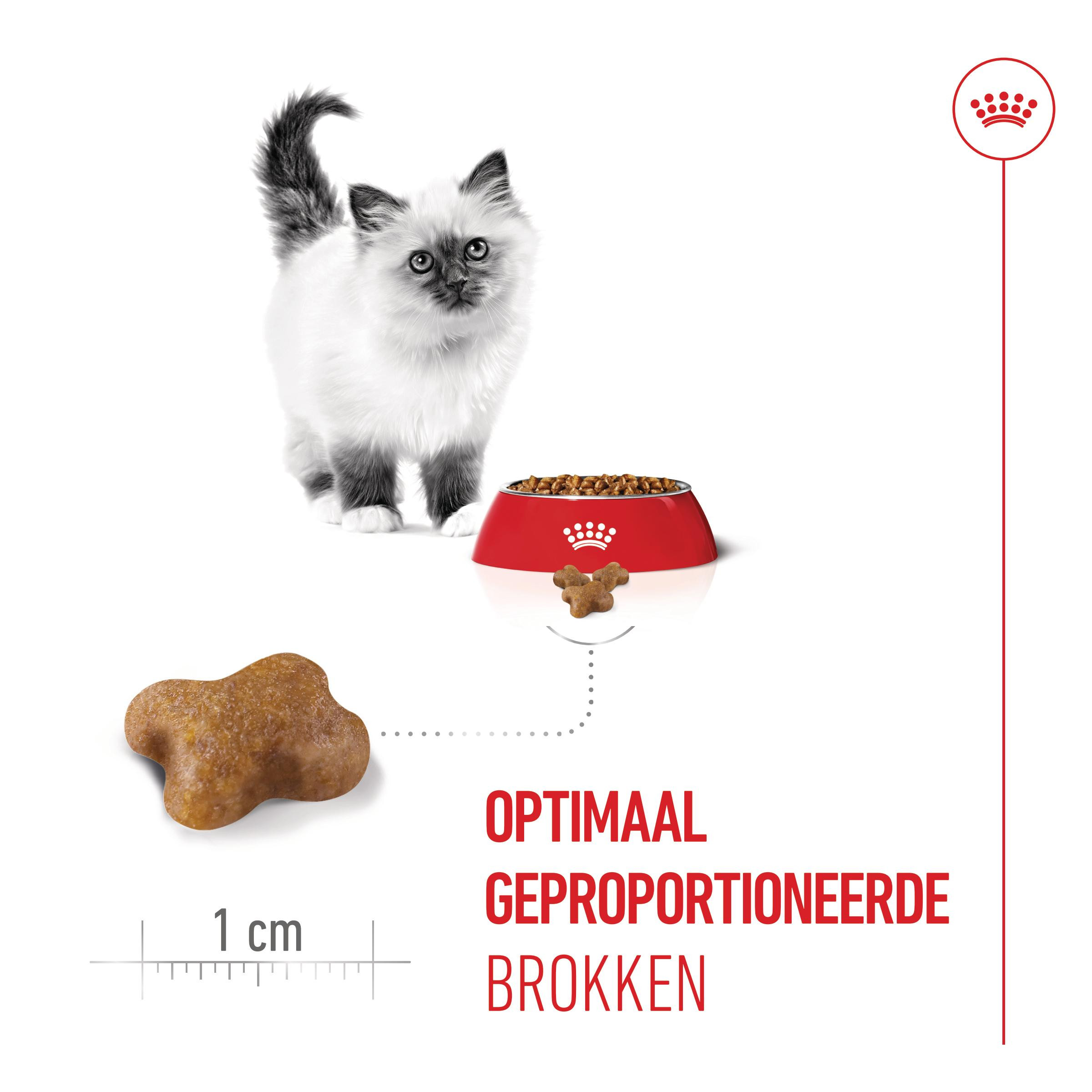 Royal Canin Kitten kattenvoer